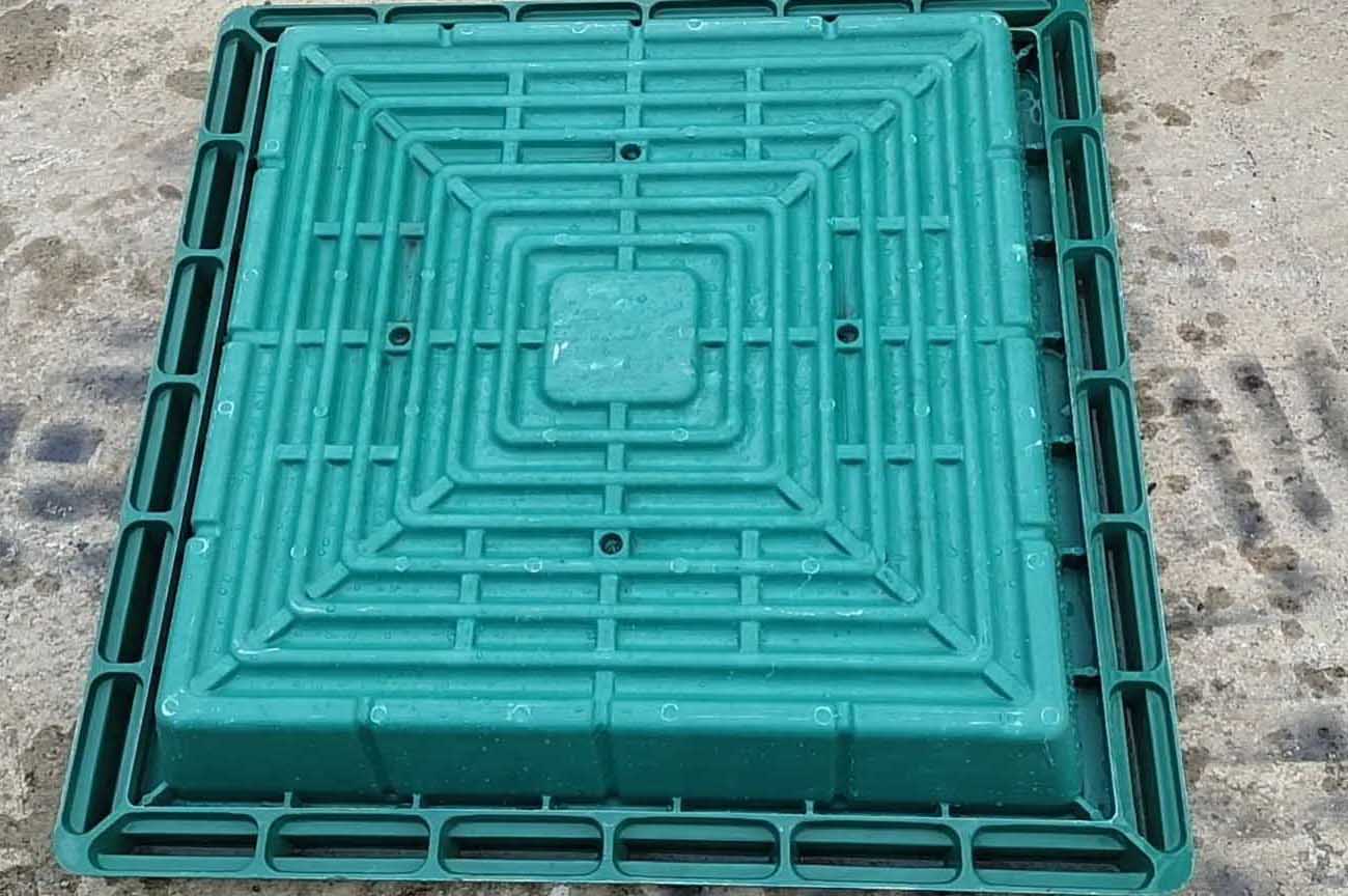 种类多样